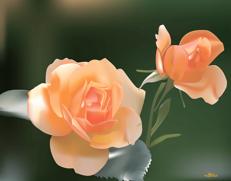 Illustration-Roses-in-Gradient-Mesh-style